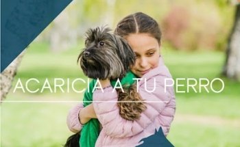 Elite Dog's - Veterinaria