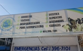 Clínica veterinaria animals world