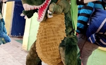 ESTETICA CANINA DE PELITOS