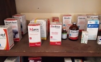 Medico Veterinario Zootecnista