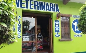 Veterinaria Doggy