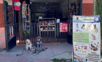 Paupad - Veterinaria y Estética Canina