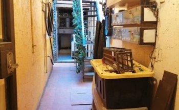 CLINICA VETERINARIA PET'S