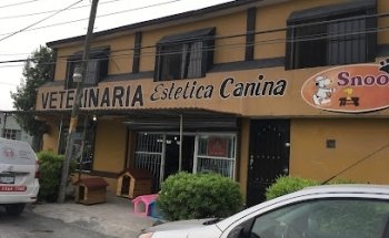 Clinica Veterinaria Canadiense