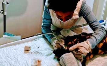 Clínica Veterinaria Franciscano