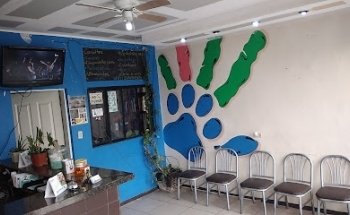 Patas Descalzas Ponciano