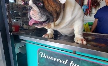 Veterinaria Animalandia