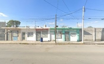 Marcela A. Flores Valdés