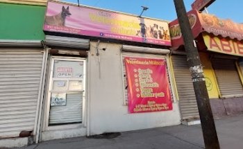 Veterinaria Malinois