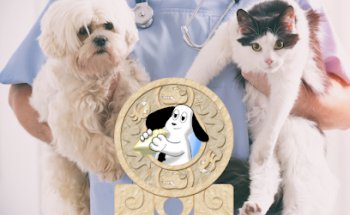 VETERINARY HOSPITAL MAYAN PETS