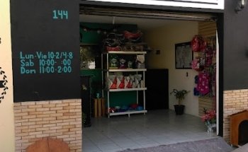 Dogtor Veterinaria Tesistan