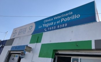 Clinica Veterinaria La Yegua Y El Potrillo San Sebastian