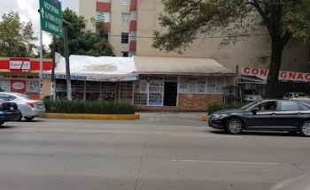 Ara Macao Veterinaria