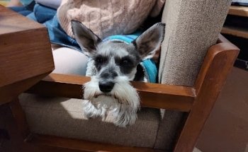 Clínica Veterinaria Y Estetica Vet House