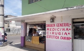 Veterinaria Mi Angel