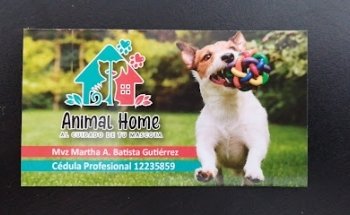 Animal Home