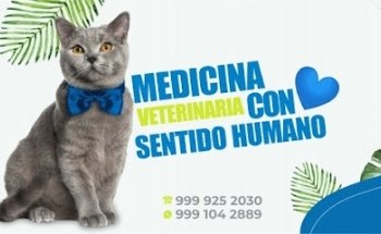 Hospital Veterinario y Estetica del Mayab
