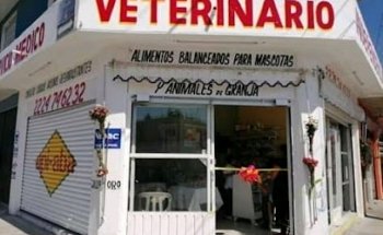 Veterinaria Independencia