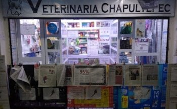 VETERINARIA CHAPULTEPEC