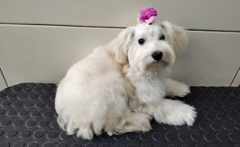 Veterinaria del Parque