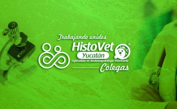 Histovet Yucatán