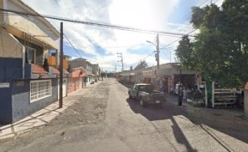 Veterinaria paullada