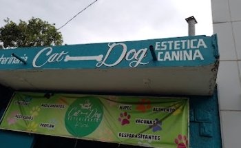 Veterinaria Cat-dog