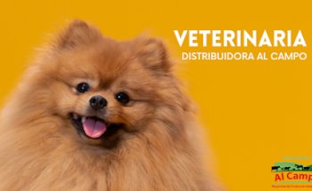 Distribuidora Al Campo Purina, Loma Bonita