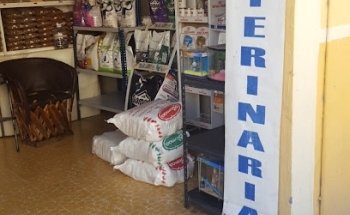 Veterinaria The Little Doctor