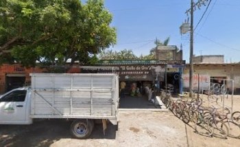 Forrajes Y Veterinaria El Gallo De Oro