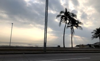 Pet Médica Boulevard