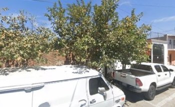 Veterinaria St. Mart