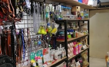 Veterinaria Animal Park