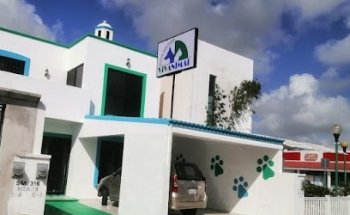 VETERINARIA VIVANIMAL 