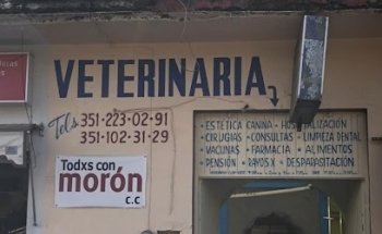 Veterinaria alcazar