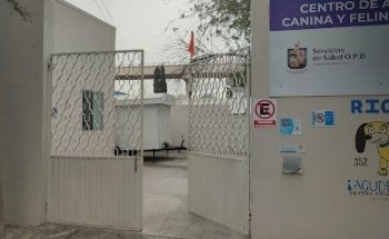 Centro de Atención Canino y Felino Terminal