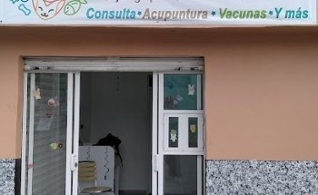 Clínica Veterinaria Huellitas