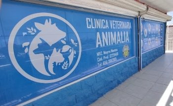 Veterinaria Animalia