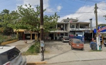 La casa de tu mascota