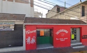 Atencion medico veterinario “INCUBADORA”