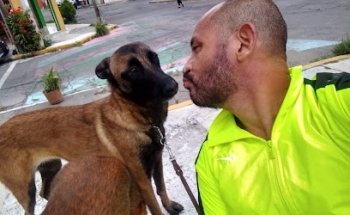 Clinica Veterinaria Dazoo