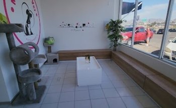 Veterinaria Mishis&Dogs Vet