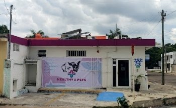 Healthy & Pets Clinica y Estetica Veterinaria