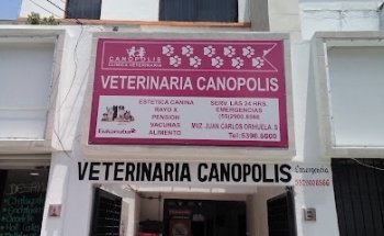 VETERINARIA CANOPOLIS