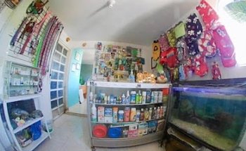 Clínica Veterinaria Arrecife de Coral