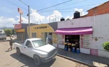 VETERINARIA EL DOTORINARIO