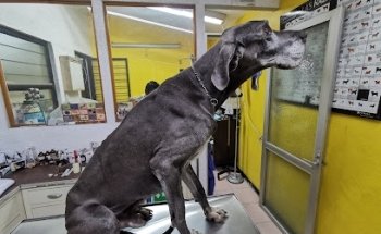 Clínica Veterinaria Medican