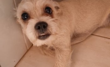 VETERINARIA SAN JUAN