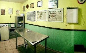 Luceca's Veterinaria