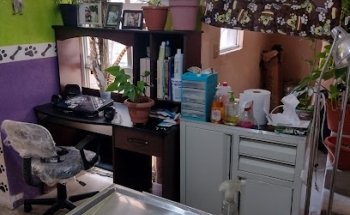 Clinica Veterinaria Albeitar​